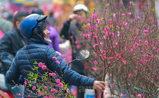 Chiều 30 Tết miền Bắc âm u, dự báo rét đậm rét hại, mưa rào trong đêm giao thừa, miền Nam trời đẹp