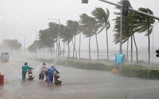 Tin bão mới nhất: Bão số 7 Nangka tăng cấp, đổ bộ vào ngày mai gây mưa rất to