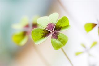 Tử vi thứ 7 ngày 3/10/2020 của 12 cung hoàng đạo: Sử Tử gặp may, Ma Kết đối mặt trở ngại