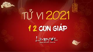 Xem tử vi năm 2021 của 12 con giáp: Dự báo chuẩn xác vận hạn mọi phương diện năm Tân Sửu