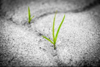 Tử vi Thứ 4 ngày 28/10/2020 của 12 con giáp: Ngọ gặp khó, Dậu thuận lợi