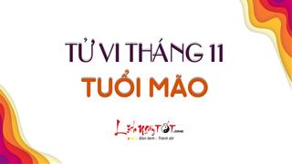 Tử vi tháng 11/2020 tuổi Mão Âm lịch: Có cơ hội sửa sai để sự nghiệp thăng tiến
