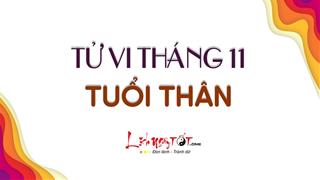 Tử vi tháng 11/2020 tuổi Thân Âm lịch: Hạnh phúc và có quý nhân phù trợ