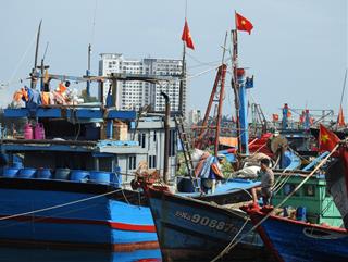 Bão số 9 mạnh nhất từ đầu năm, Đà Nẵng cấm ra đường từ 20h hôm nay, toàn bộ lao động nghỉ làm ngày 28-10