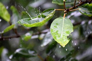 Dự báo thời tiết 10 ngày tới (2/11 – 12/11/2020): Bắc Bộ mưa lạnh, Trung Bộ tiếp tục mưa dông