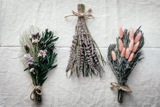 Tử vi tuần mới từ 30/11 - 6/12/2020 của 12 con giáp: Dần bấp bênh, Tuất thăng tiến