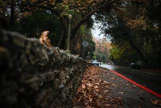 Tử vi Thứ 6 ngày 13/11/2020 của 12 con giáp: Dần vất vả, Thìn thuận lợi