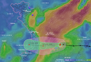 Bão số 12 gây mưa lớn từ chiều nay