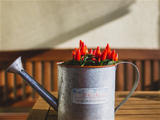 Tử vi thứ 7 ngày 19/12/2020 của 12 con giáp: Dần rạn nứt, Mùi khó khăn