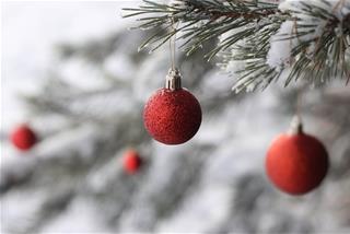 Tử vi Thứ 6 ngày 18/12/2020 của 12 con giáp: Tý cáu kỉnh, Ngọ nên đầu tư