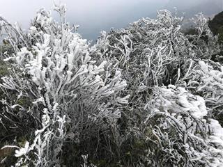 Đợt rét đậm rét hại ở miền Bắc lần này kéo dài bao lâu?