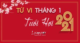 Tử vi tháng 1/2021 tuổi Hợi Âm lịch: Biết tranh thủ cơ hội phát triển, tài lộc khởi sắc