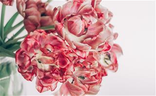 Tử vi thứ 4 ngày 30/12/2020 của 12 cung hoàng đạo: Sư Tử tự tin, Thiên Bình tự phóng đại