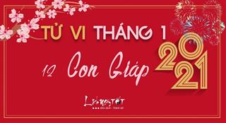 Tử vi tháng 1/2021 của 12 con giáp (Âm lịch): Đầu xuân ai vượng phát, ai ngậm ngùi bấp bênh?