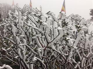 Đợt rét hại sắp tới ở miền Bắc khắc nghiệt thế nào?