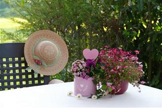 Tử vi thứ 7 ngày 5/12/2020 của 12 cung hoàng đạo: Sư Tử nhạy cảm, Song Ngư hạnh phúc