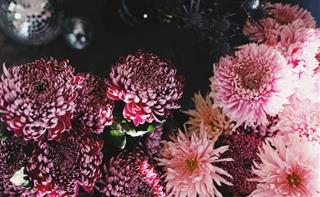 Tử vi Chủ nhật ngày 14/2/2021 của 12 con giáp: Sửu hạnh phúc, Dần hãy dũng cảm