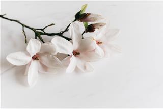 Tử vi Chủ nhật ngày 20/12/2020 của 12 con giáp: Sửu thu hút, Dậu hay nghĩ