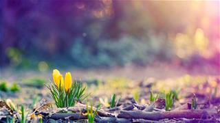 Tử vi Thứ 4 ngày 12/2/2020 của 12 cung hoàng đạo: Ma Kết bối rối, Kim Ngưu bồn chồn