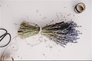 Tử vi thứ 6 ngày 21/2/2020 của 12 con giáp: Ngọ hiếu thắng, Dậu nỗ lực