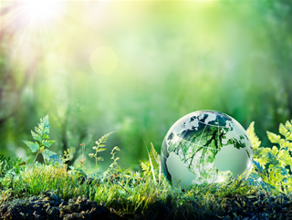 Tử vi thứ 4 ngày 19/2/2020 của 12 con giáp: Dậu có quý nhân, Dần nhiều tài lộc