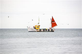 Tử vi thứ 6 ngày 28/2/2020 của 12 con giáp: Mùi buồn phiền, Hợi phân tâm