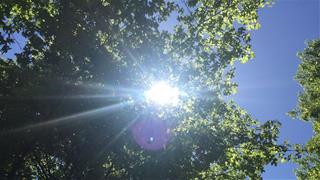 Dự báo thời tiết 10 ngày tới (Từ đêm 24/2 đến ngày 5/3/2020): Nam Bộ nắng nóng