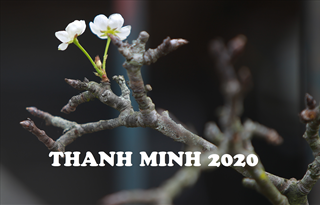 Thanh Minh 2020 là ngày nào? Tết Thanh Minh 2020 là ngày tốt hay ngày xấu?