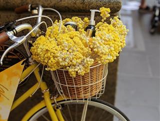 Tử vi thứ 2 ngày 10/2/2020 của 12 cung hoàng đạo