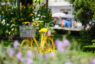 Tử vi thứ 7 ngày 21/3/2020 của 12 con giáp: Tuất được tín nhiệm, Tý gặp quý nhân