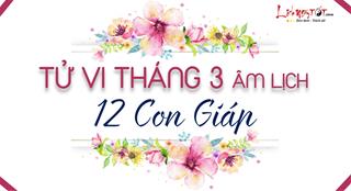 Tử vi tháng 3/2020 của 12 con giáp (Âm lịch): Ai có cơ hội bứt phá, vươn tới thành công?