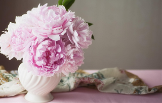 Tử vi thứ 4 ngày 25/3/2020 của 12 cung hoàng đạo: Ma Kết buồn, Song Tử nóng nảy