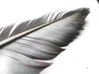 Tử vi thứ 2 ngày 9/3/2020 của 12 con giáp: Tuất cần cố gắng, Mùi đạt mục tiêu