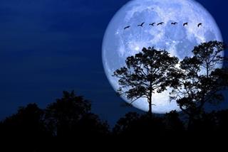 Việt Nam đón siêu Trăng ngày 9/3 chớ bỏ lỡ hiện tượng độc lạ này