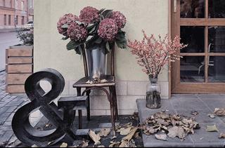 Tử vi thứ 7 ngày 25/4/2020 của 12 cung hoàng đạo: Xử Nữ tỏa sáng, Thiên Bình chu đáo