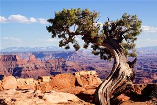 Tử vi thứ 2 ngày 27/4/2020 của 12 cung hoàng đạo: Song Tử khác lạ, Ma Kết giận hờn