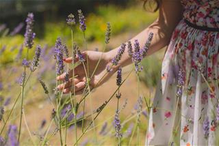 Tử vi thứ 4 ngày 29/4/2020 của 12 cung hoàng đạo: Hổ Cáp sáng tạo, Ma Kết ổn định