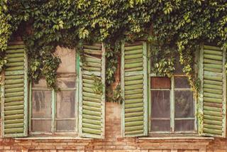 Tử vi thứ 5 ngày 30/4/2020 của 12 con giáp: Mão vượng tài, Dậu vụng về