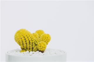 Tử vi thứ 5 ngày 7/5/2020 của 12 con giáp: Thìn rắc rối, Dậu sa sút