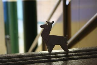 Tử vi tuần mới của 12 cung hoàng đạo (4/5-10/5/2020): Thiên Bình khoan dung, Nhân Mã tận hưởng