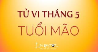 Tử vi tháng 5/2020 tuổi Mão âm lịch: Sự nghiệp là "cứu tinh" cho cả tháng