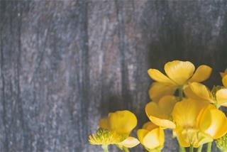 Tử vi tuần mới từ 20 - 26/4/2020 của 12 con giáp: Hợi vượt khó, Sửu tránh va chạm