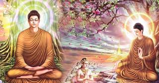 Khi Phật bị vu khống tội tà dâm và giết người, Ngài đã phản ứng thế nào?