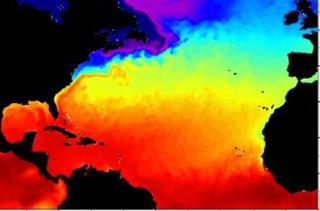 Nhận định: Rất có thể năm 2020 nóng nhất lịch sử