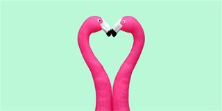 Tử vi hàng ngày 16/5/2020 về tình yêu của 12 con giáp: Ai đón tình đầy tim?