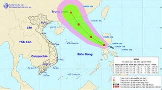 Áp thấp nhiệt đới giật cấp 9, có thể mạnh thành bão đầu tiên năm 2020