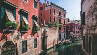 Tử vi thứ 5 ngày 25/6/2020 của 12 con giáp: Mão hân hoan, Dậu quyết đoán