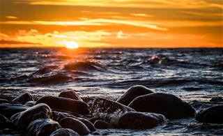 Tử vi Chủ nhật ngày 26/7/2020 của 12 con giáp: Tý lười biếng, Ngọ hồ nghi