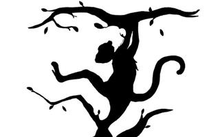 Bạn nhìn thấy con hổ hay con khỉ đầu tiên? Cách giúp bạn biết mình là ai!