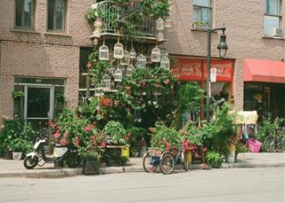 Tử vi thứ 5 ngày 20/8/2020 của 12 con giáp: Mão suôn sẻ, Dậu thị phi